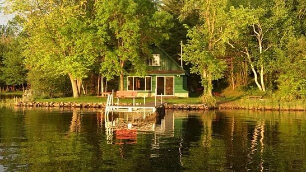 A lakeside cabin with a dock, surrounded by trees.