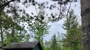 A red SUV parked on a gravel path beside a green cabin in a forested area.