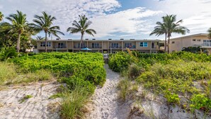 Ein Hotel direkt am Strand mit einem Sandweg, der zum Eingang führt, umgeben von üppiger Vegetation und Palmen.