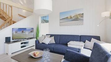 Fernseher, Kamin, DVD-Player