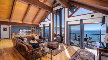 TV connectée, cheminée, lecteur de DVD, livres