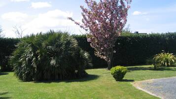 Un giardino curato con una varietà di piante, tra cui un albero fiorito in evidenza, una pianta simile a una palma e siepi ben curate.