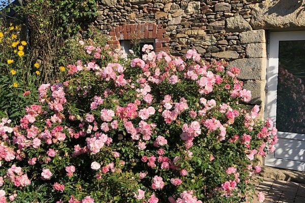 DĂ©tail de lâextĂ©rieur