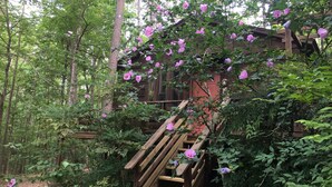 Una cabaña de madera rodeada de exuberante vegetación y flores rosadas.