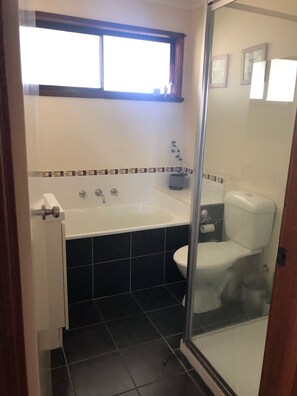 Bathtub, hair dryer, soap, toilet paper