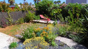 Een tuin met verschillende planten en bloemen, een kleine vijver en een rode stoel.