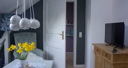 Charmante Innenstadtwohnung: Stadtflucht Lüneburg