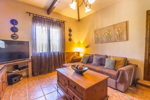 Télévision, cheminée, console de jeux vidéo