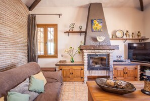 Télévision, cheminée, console de jeux vidéo