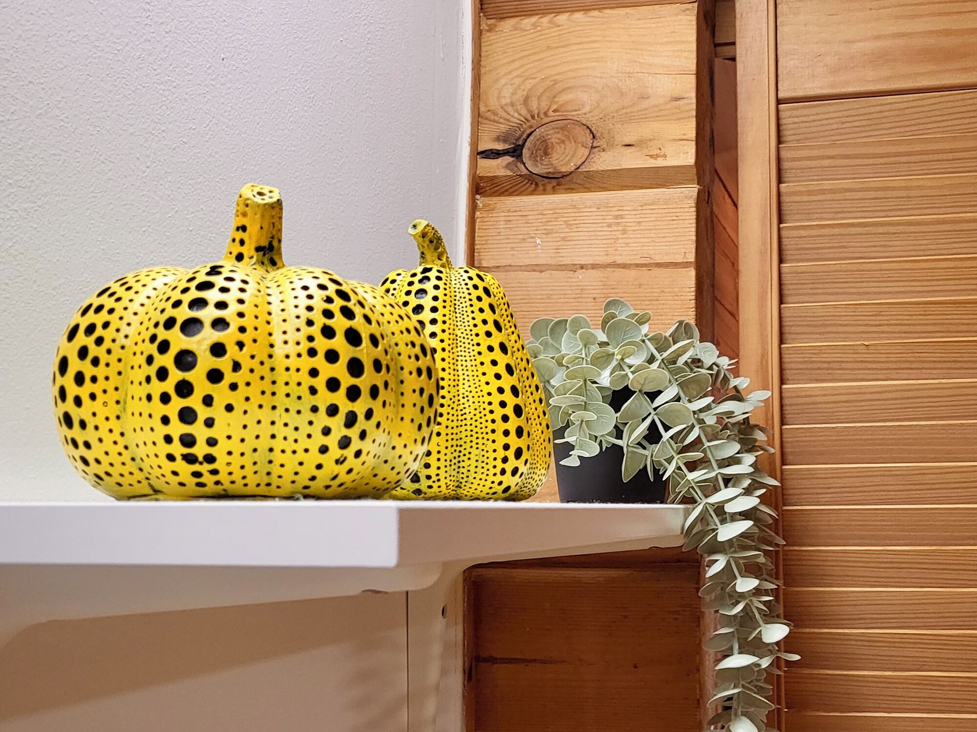 A shelf with two yellow pumpkins and a small potted plant.