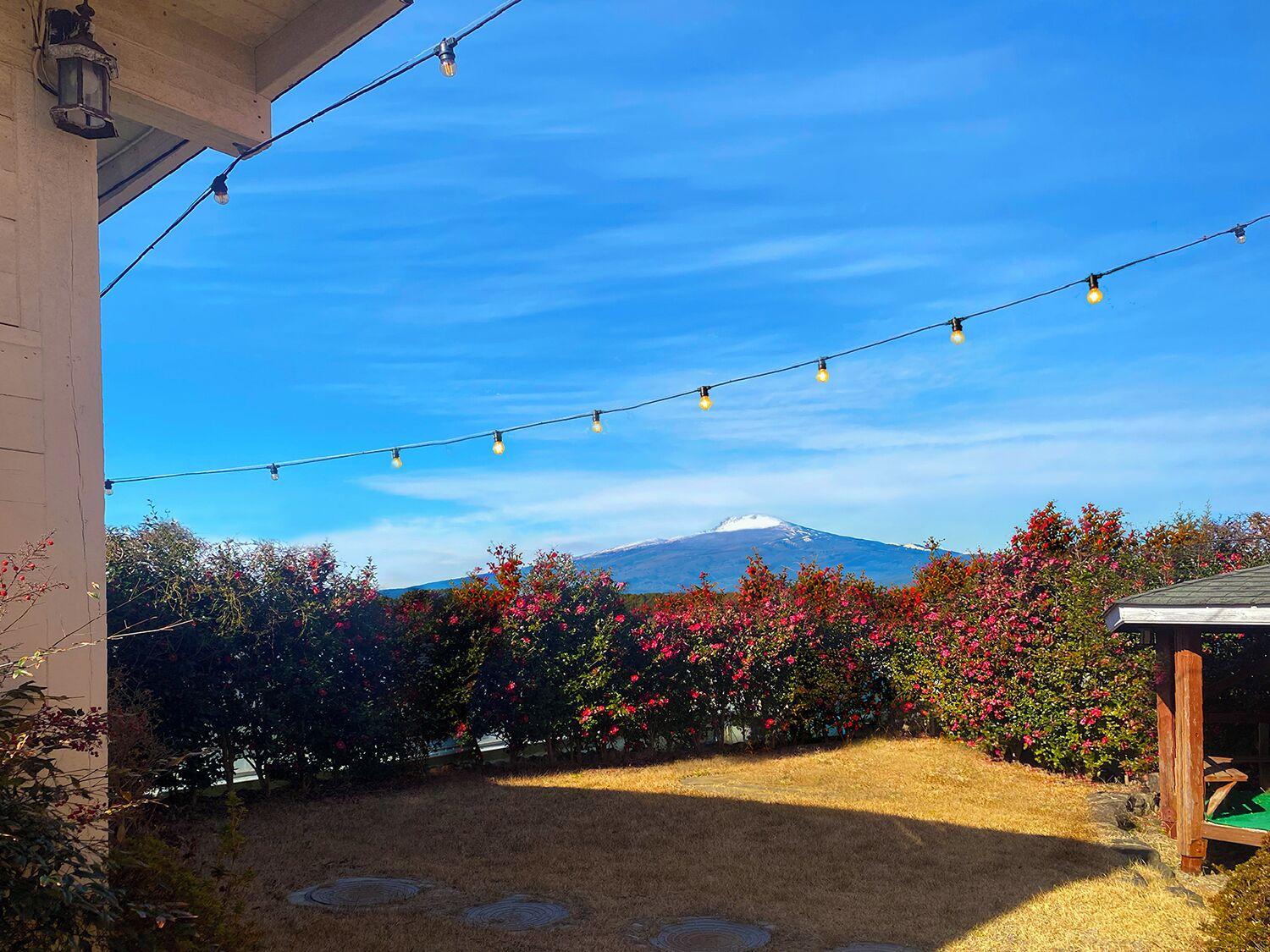 A backyard with a string of lights, a mountain in the background, and a wooden fence.