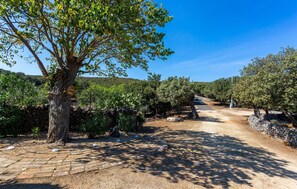 Property grounds - 2 bedroom lovely home in Punta Kriza (Punta Kriza)