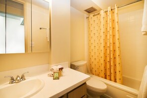 Tina con regadera, secadora de cabello, toallas, jabón 