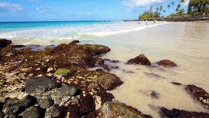Una playa con agua turquesa cristalina, un primer plano rocoso y palmeras al fondo.