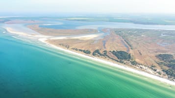 Playa en los alrededores y camastros