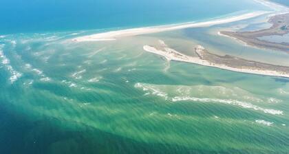 Ferienhaus am Bodden vor Fischland-Darß-Zingst
Garten mit Zaun, Hunde willkommen