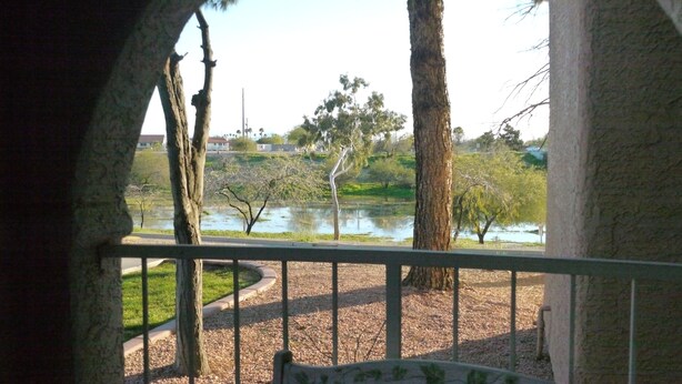 Une vue depuis un balcon doté d’une balustrade, donnant sur un parc avec des arbres et une étendue d’eau.