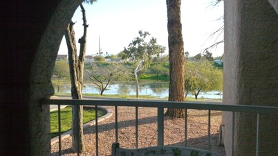 Stylish Space 1 mile to ASU,  10 miles to Cardinal's stadium!