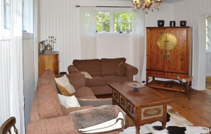 Smart-TV, Kamin