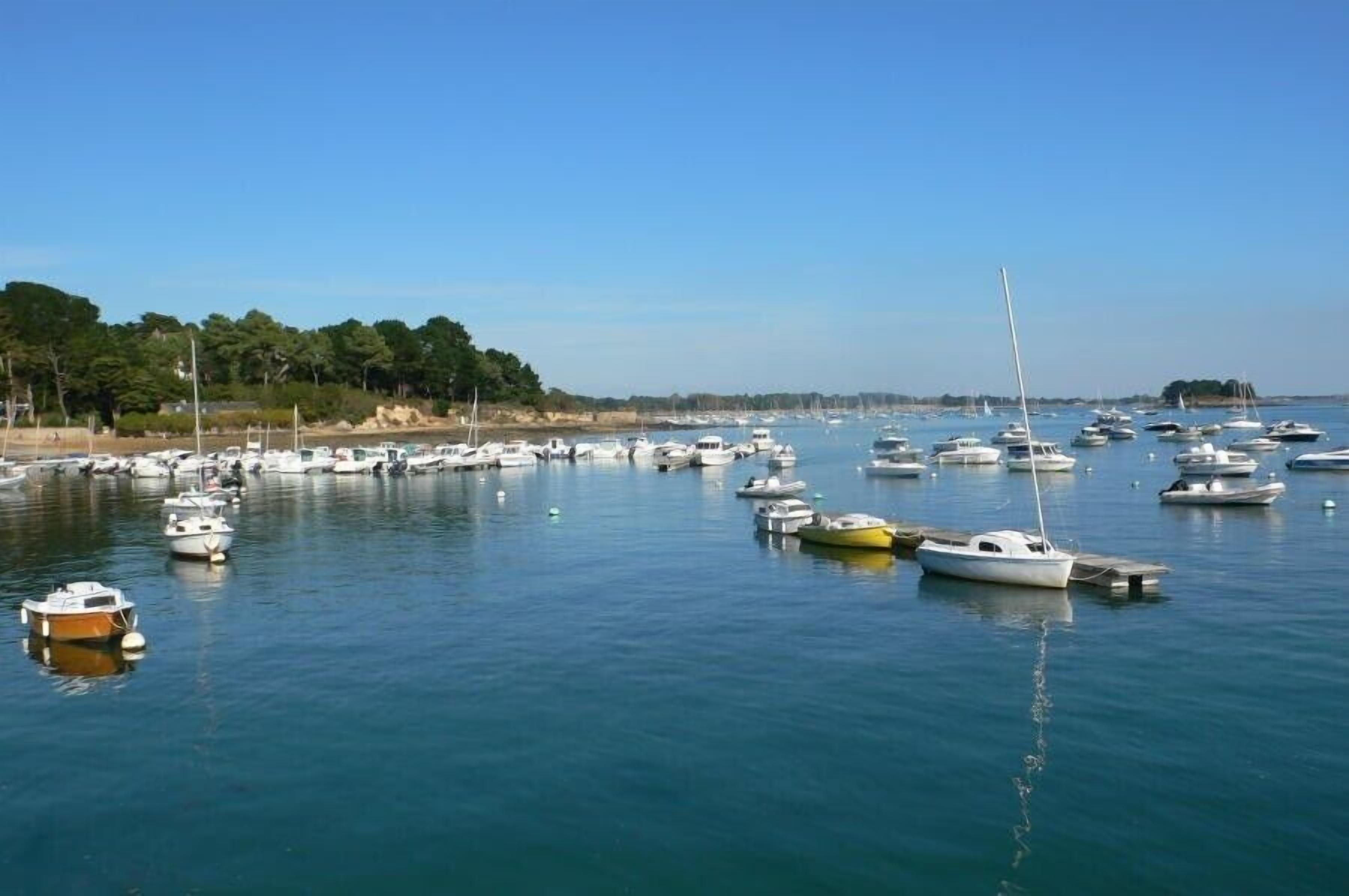 Uma marina com vários barcos atracados ao longo da costa.