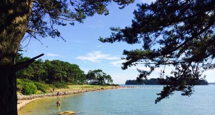 LA MAISON DES ILES 3*** SPA Privatif, Détente avec ambiance zen, 5 mn PLAGE !