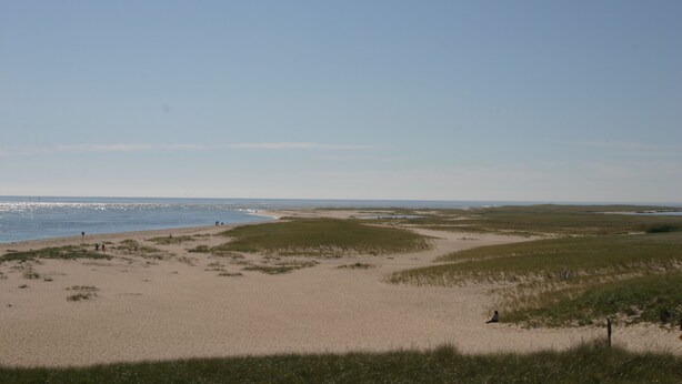 A coastal landscape with a sandy beach and grassy dunes. - Secluded Chatham Cape Cod House Stage Harbor Area (Chatham)