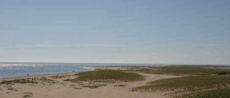 Plage à proximité, serviettes de plage