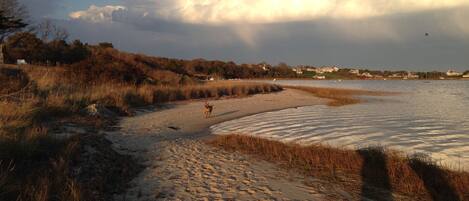 Beach nearby, beach towels