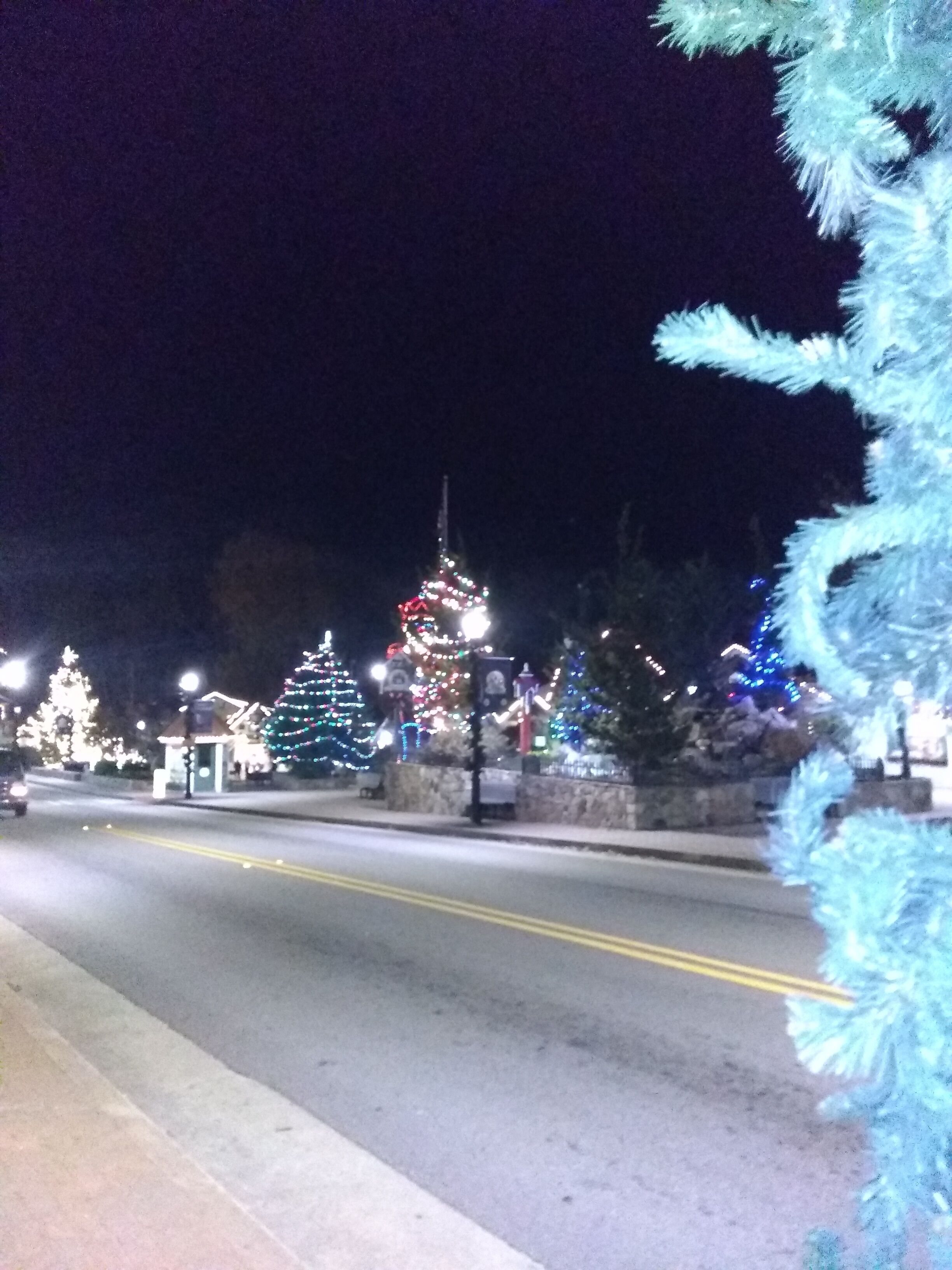 A street at night with Christmas trees and lights.
