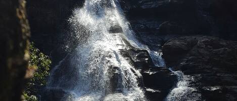 A waterfall cascading over rocks in a forested area.