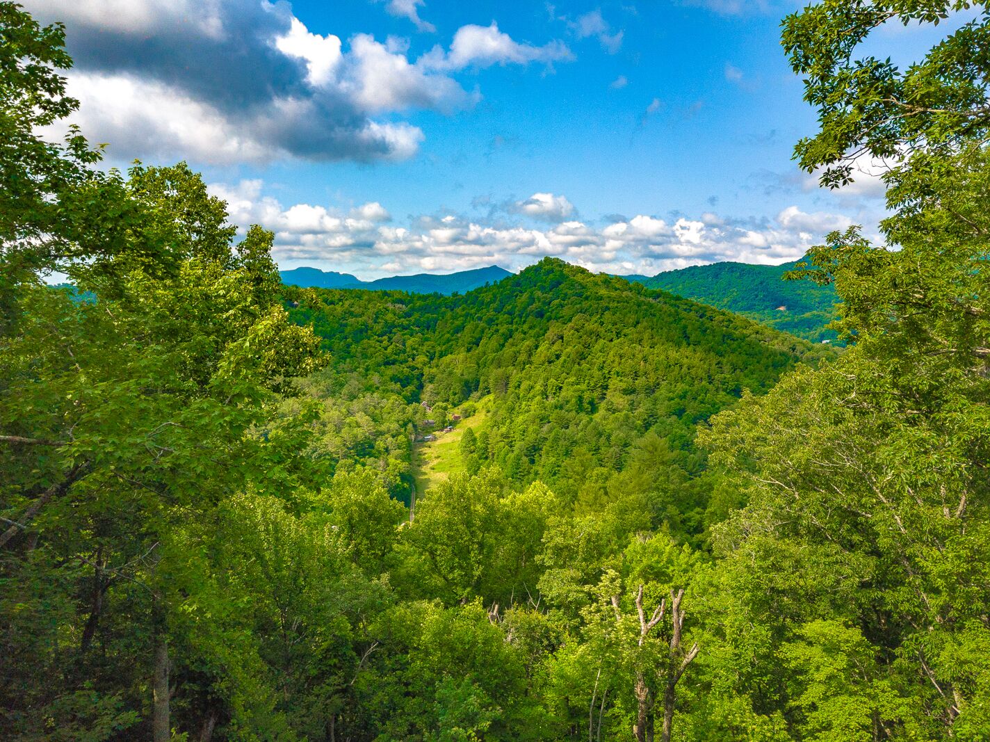 Een bergachtig landschap met dichte groene bossen en een heldere lucht.