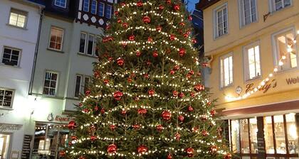 Casa de vacaciones Emil en el domicilio familiar Mosel-Reichsburg Cochem cerca