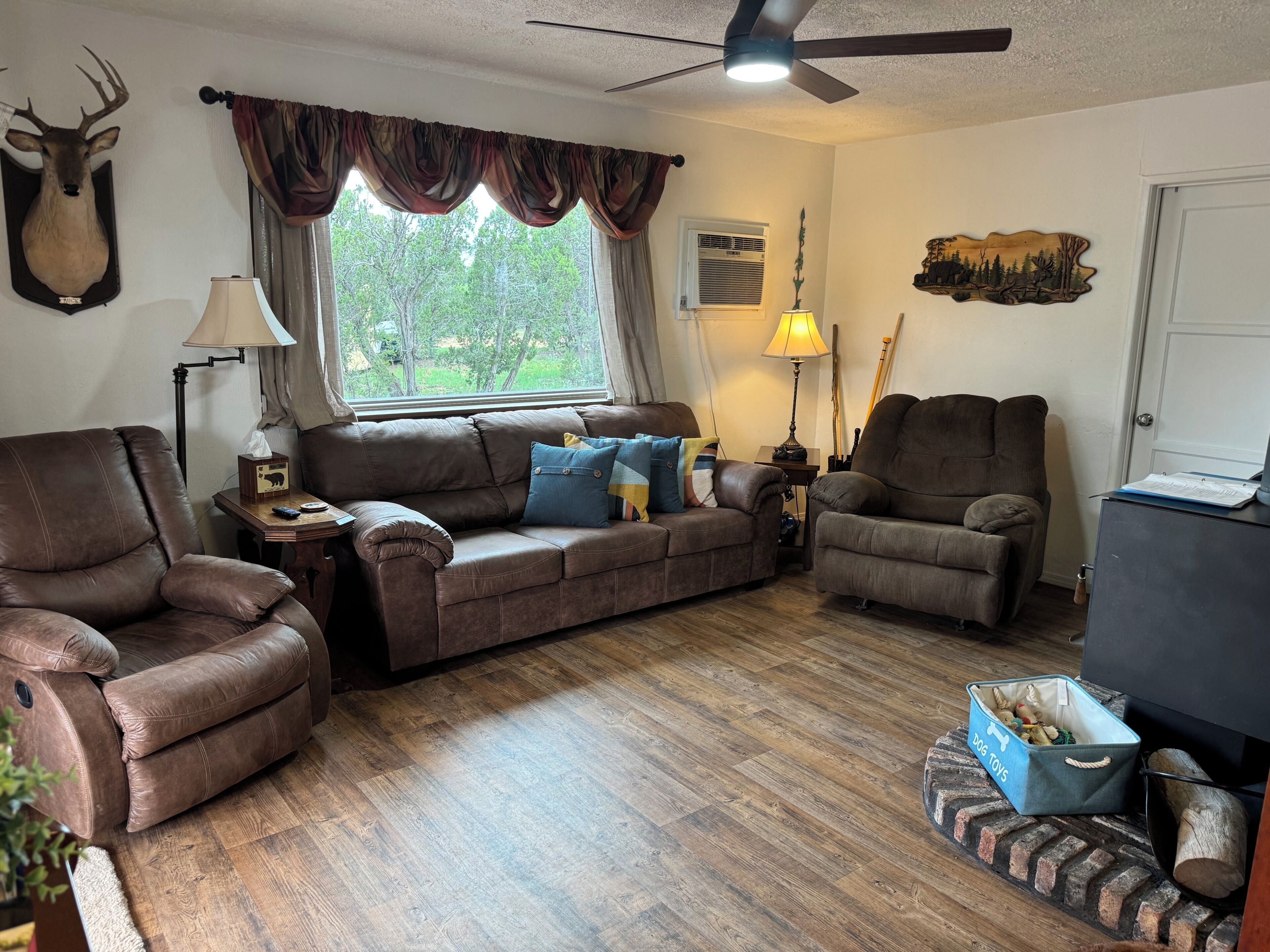 Smart TV, fireplace, DVD player, video library