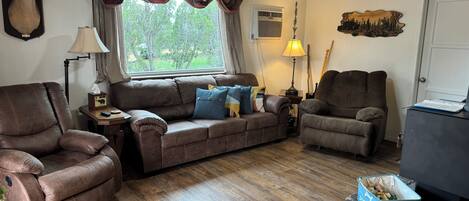 Smart TV, fireplace, DVD player, video library