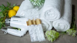 A Panasonic hair dryer, white towels, lemons, and green plants.