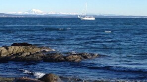 Beach nearby - Beautifully appointed suite is on a gorgeous, secluded, quiet Oceanfront street (Victoria)