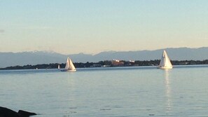 A calm body of water with sailboats. - Beautifully appointed suite is on a gorgeous, secluded, quiet Oceanfront street (Victoria)
