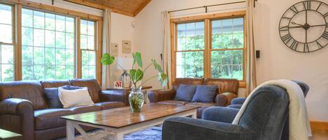 Smart TV, chimenea, reproductor de DVD, libros