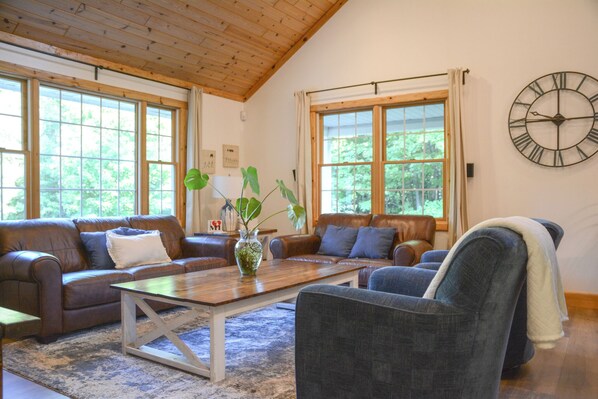 Smart TV, fireplace, DVD player, books