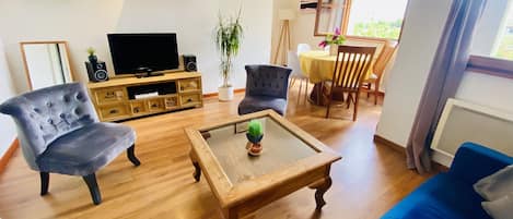 Televisio, DVD-soitin, kirjoja, stereot