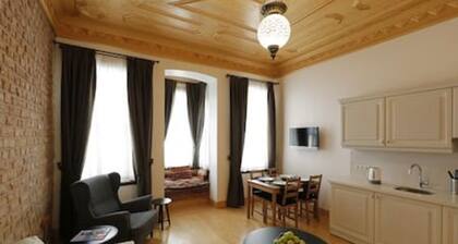 301 · New Apt Heart of Old City Istanbul