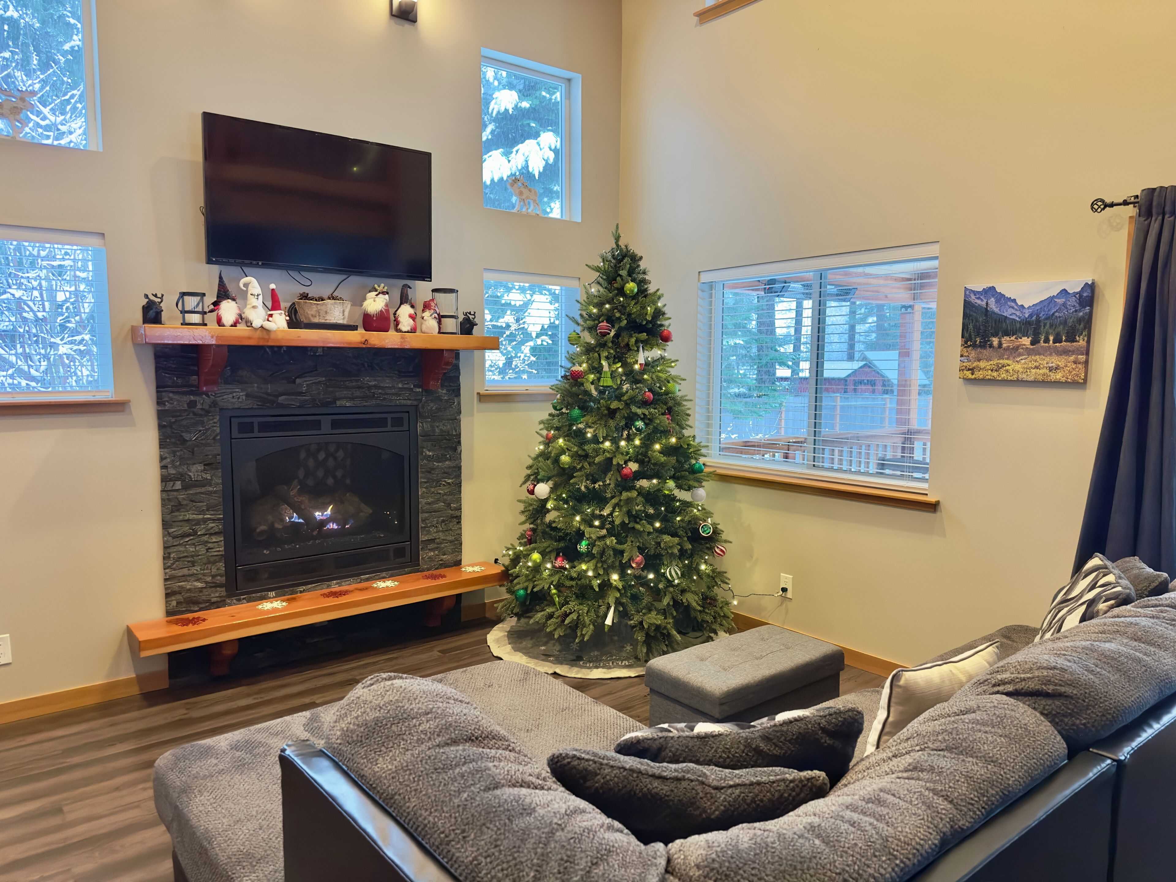 Una Smart TV, una chimenea, un reproductor de DVD