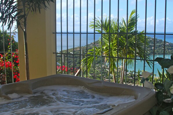 Baignoire à remous extérieure