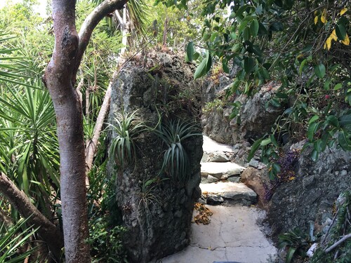 OCEAN GARDEN- SALE Spectacular Oceanview - Spa pour 2