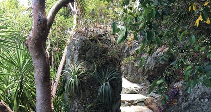 OCEAN GARDEN- SALE Spectacular Oceanview - Spa pour 2