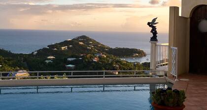 White Seagull Studio-WINTER STORM SALE- Spectacular Ocean View with POOL