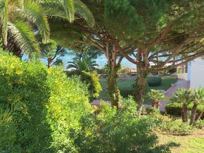 Terrain de l’hébergement