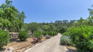 A paved road flanked by various green shrubs and trees, leading towards a forested hill. - CAN PINA - ECO REDONDA 2 - Apartment with shared pool in Costitx. Free WiFi (Costitx)
