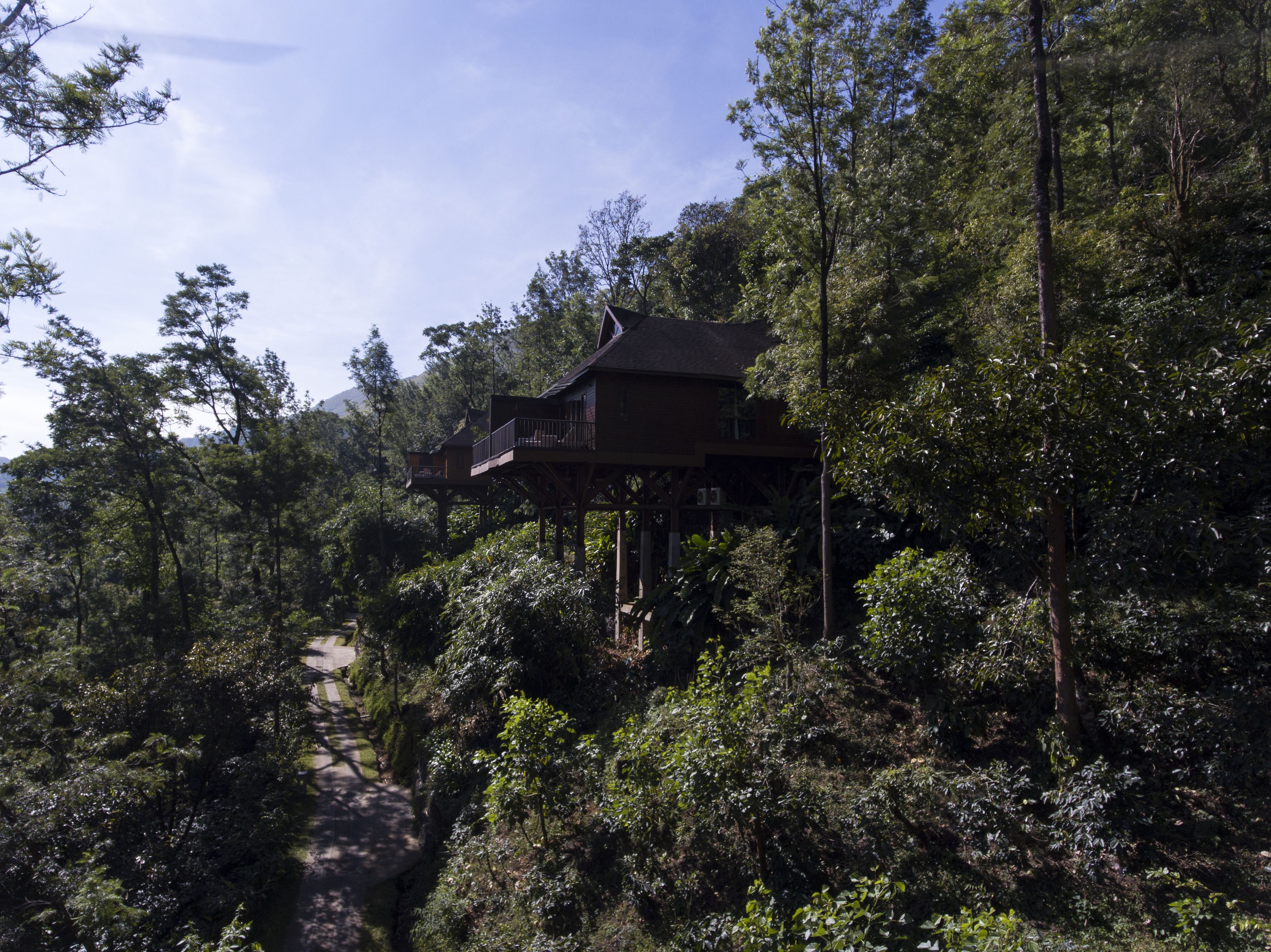 A wooden house elevated on stilts amidst dense forest, with a clear sky above.