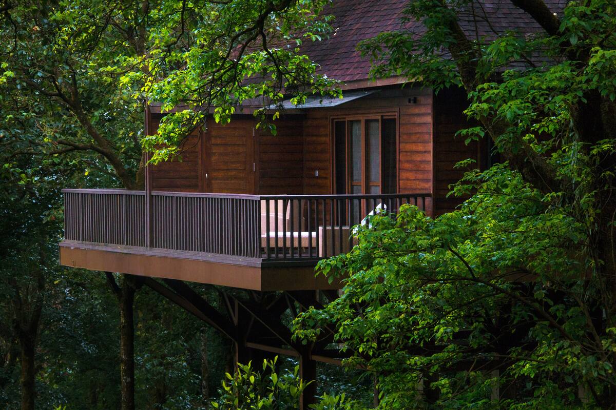A wooden cabin with a balcony, surrounded by dense forest.
